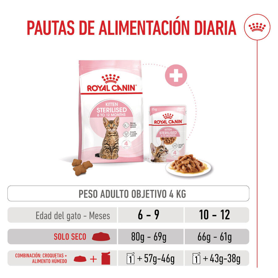 400 g Royal Canin Kitten Sterilised ra&ccedil;&atilde;o para gatos , , large Imagem n&uacute;mero 9