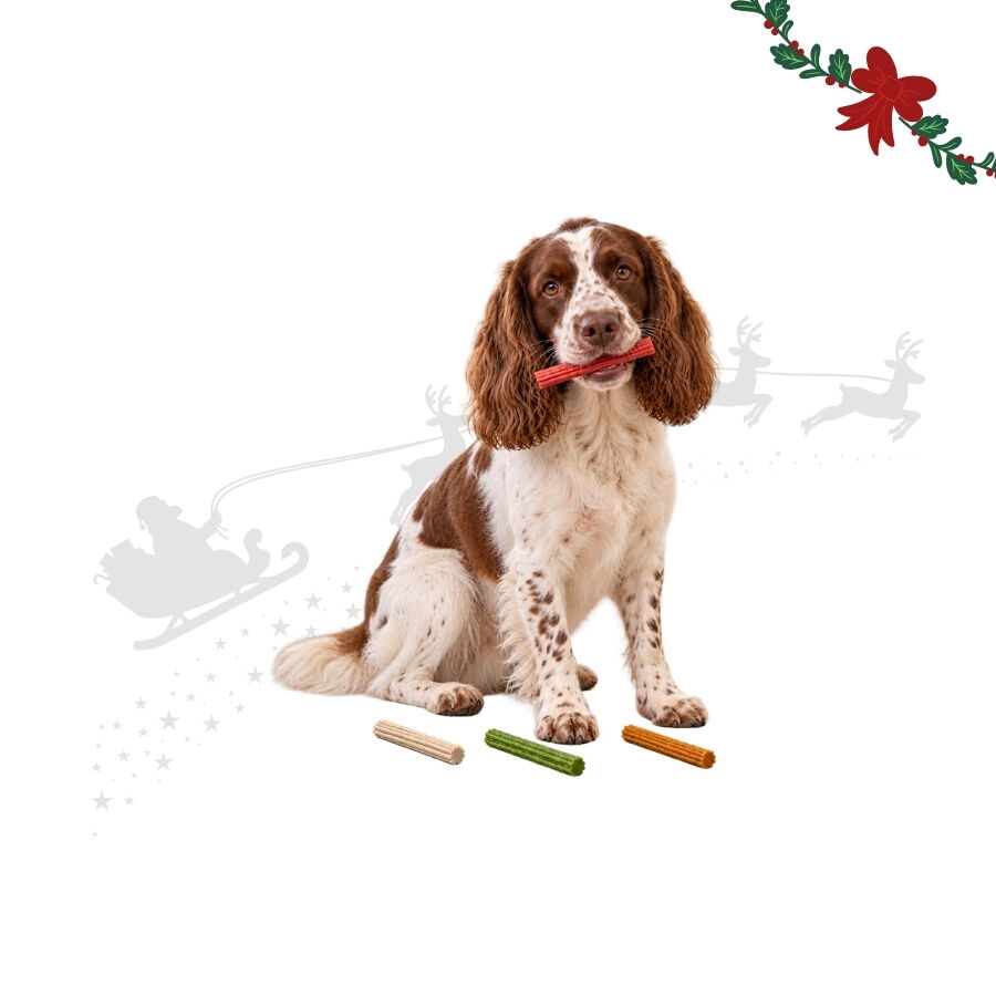 1 pack x 12 uns. Wonder Christmas Palitos Expandidos Snacks para C&atilde;es, , large Imagem n&uacute;mero 1