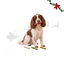 1 pack x 12 uns. Wonder Christmas Palitos Expandidos Snacks para C&atilde;es, , large Indicador imagem n&uacute;mero 1