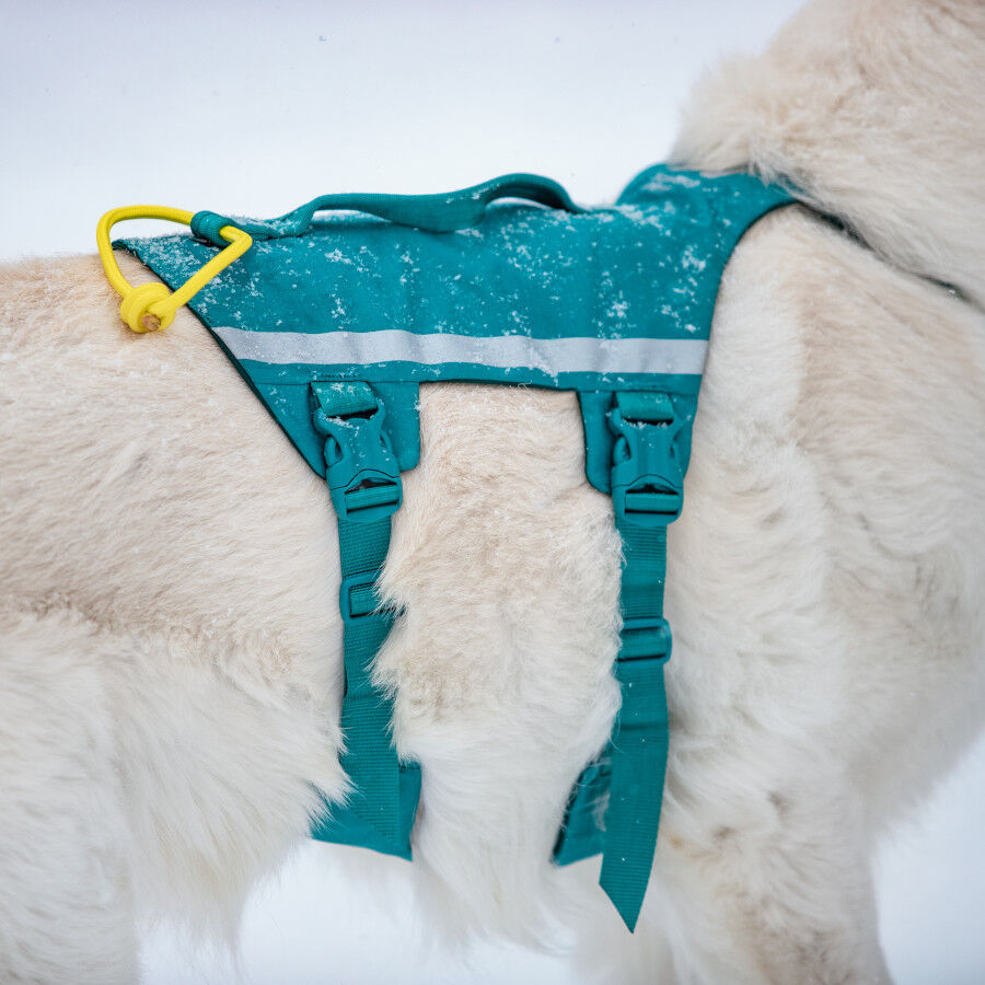 Non-stop Dogwear Peitoral Longo Azul e Verde para c&atilde;es, , large Imagem n&uacute;mero 3