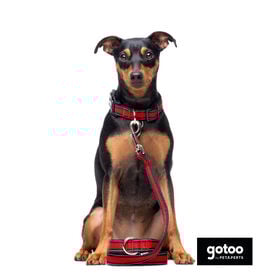 Gotoo Trela mesh vermelha refletora para cães