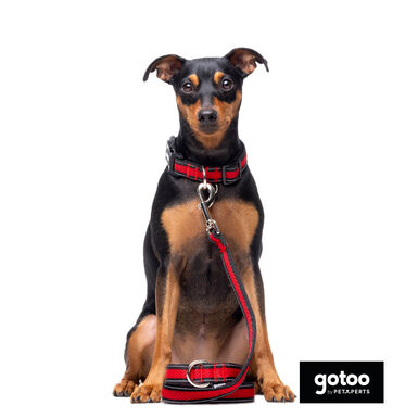 Gotoo Trela mesh vermelha refletora para cães