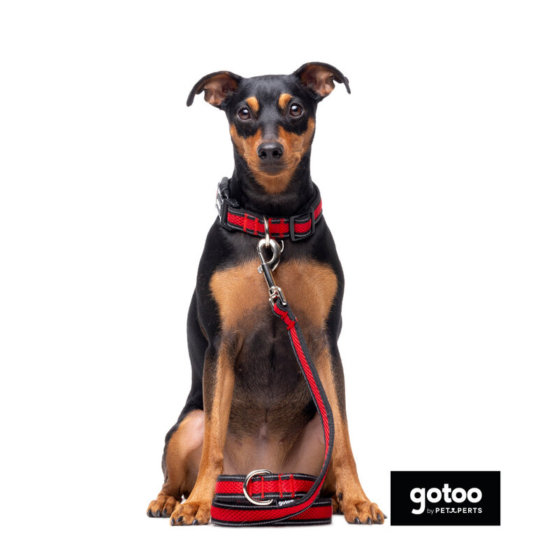 Gotoo Trela mesh vermelha refletora para cães,  Imagem número 3 Gotoo Trela mesh vermelha refletora para cães, , large Imagem número 3