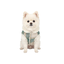 Gotoo Casaco Tartan com Capuz para c&atilde;es, , large Indicador imagem n&uacute;mero 7