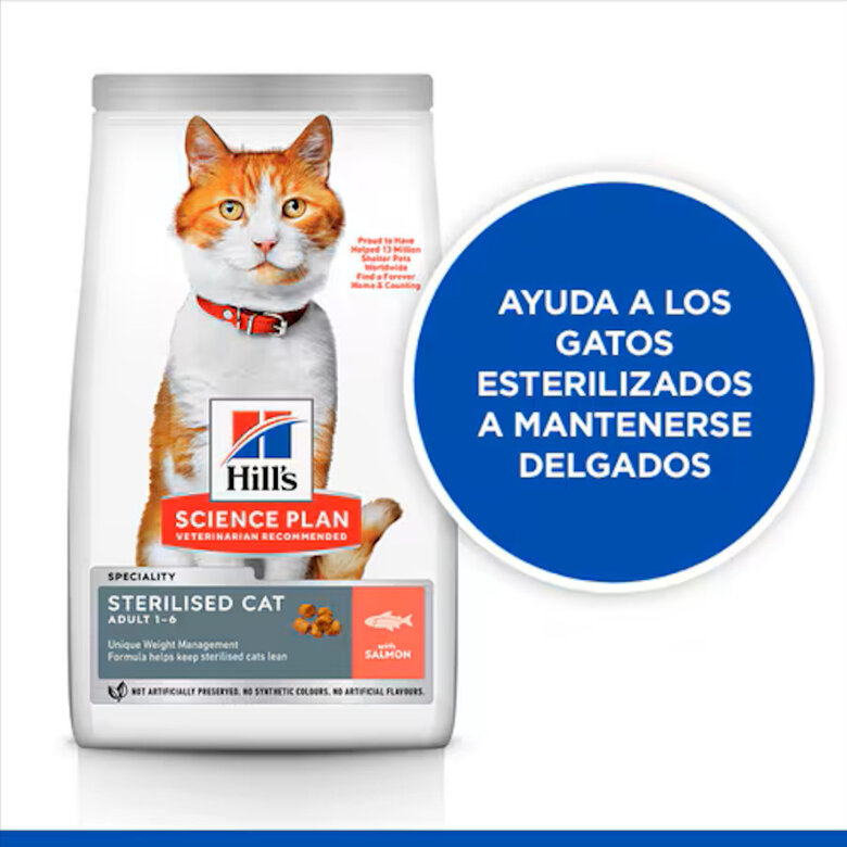 10 kg Ração Hill's Science Plan Sterilised Adult Ração de salmão para gatos,  Imagem número 3 10 kg Ração Hill's Science Plan Sterilised Adult Ração de salmão para gatos, , large Imagem número 3