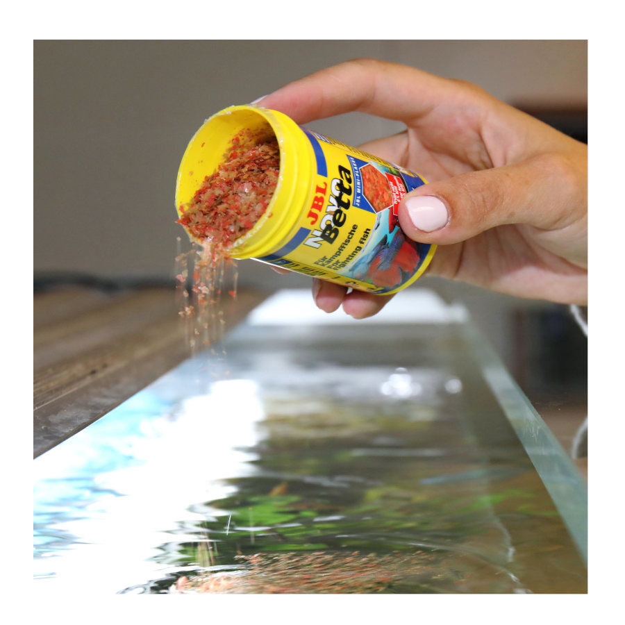 JBL Novo Betta Escamas , , large Imagem n&uacute;mero 6