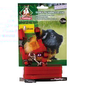 Flamingo Peitoral com Trela Vermelho para porquinhos-da-índia