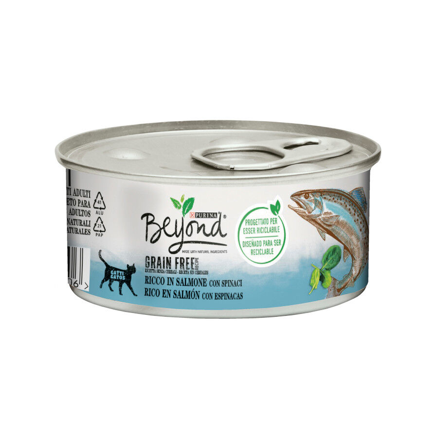 85 g Beyond Grain Free Salm&atilde;o lata para gatos, , large Imagem n&uacute;mero 1