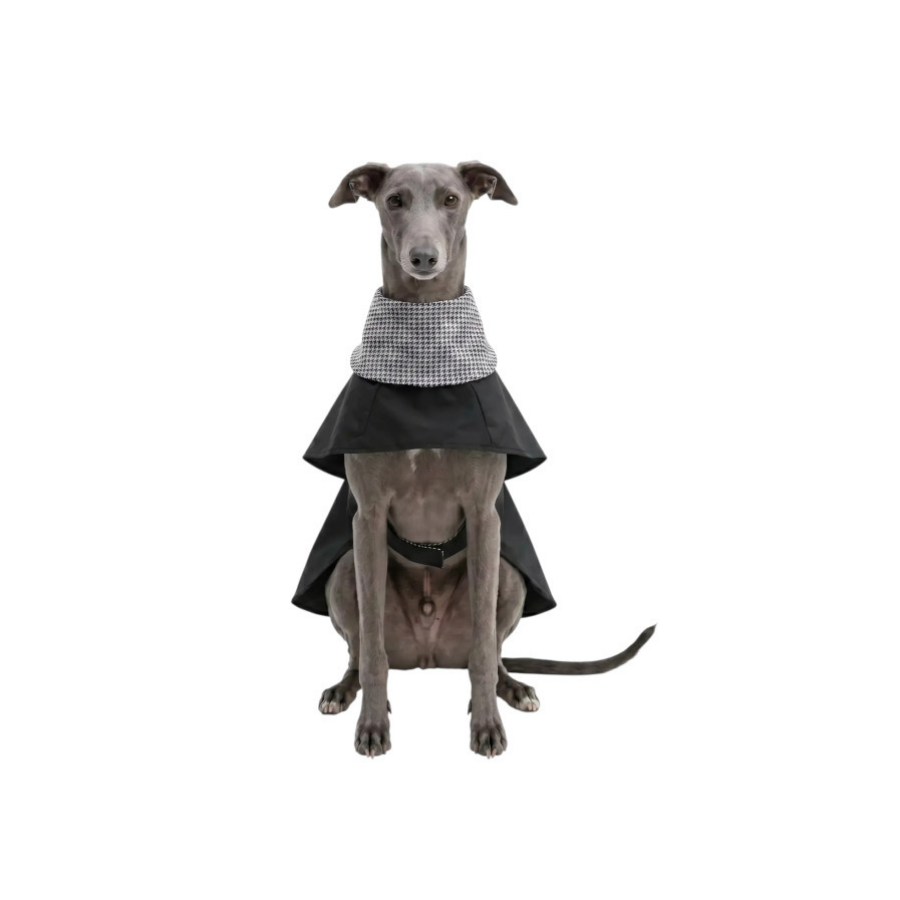Gotoo Casaco Tipo Gabardina para galgos, , large Imagem n&uacute;mero 7