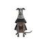 Gotoo Casaco Tipo Gabardina para galgos, , large Indicador imagem n&uacute;mero 7