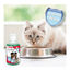Beaphar enxaguante Bucal para cães e gatos, , large Indicador imagem número 5