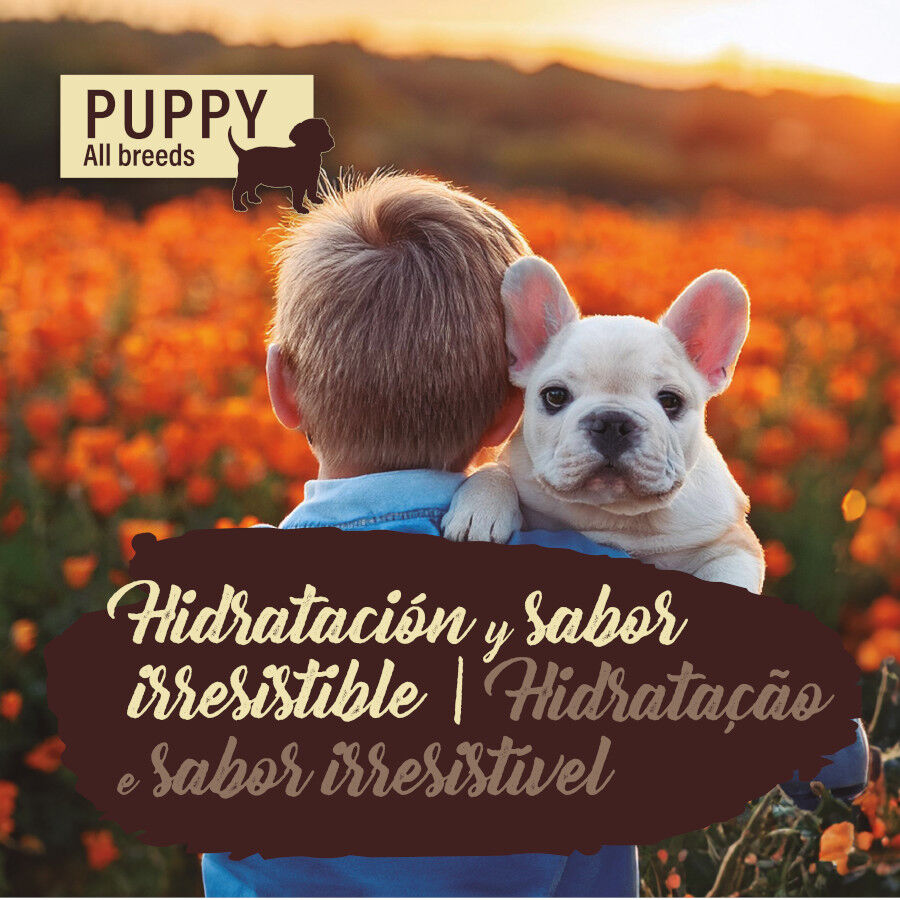 400 g True Origins Pure Lata de frango para cachorros, , large Imagem n&uacute;mero 4