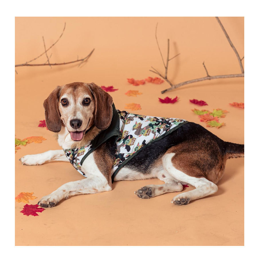 Disney Star Wars The Mandalorian Casaco Acolchoado para c&atilde;es, , large Imagem n&uacute;mero 4