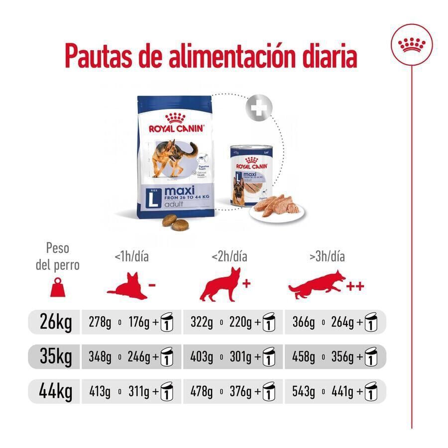 15 kg Royal Canin Maxi Adult ra&ccedil;&atilde;o para c&atilde;es, , large Imagem n&uacute;mero 8