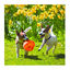 Kong Jumbler bolas para cães, , large Indicador imagem número 3
