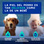 Ceva Douxo Spa Shampoo Anti-Odor para Cães, , large Indicador imagem número 9