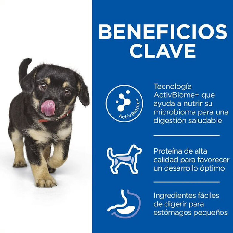 Hill's Puppy Medium Science Plan Perfect Digestion Frango ração,  Imagem número 3 Hill's Puppy Medium Science Plan Perfect Digestion Frango ração, , large Imagem número 3