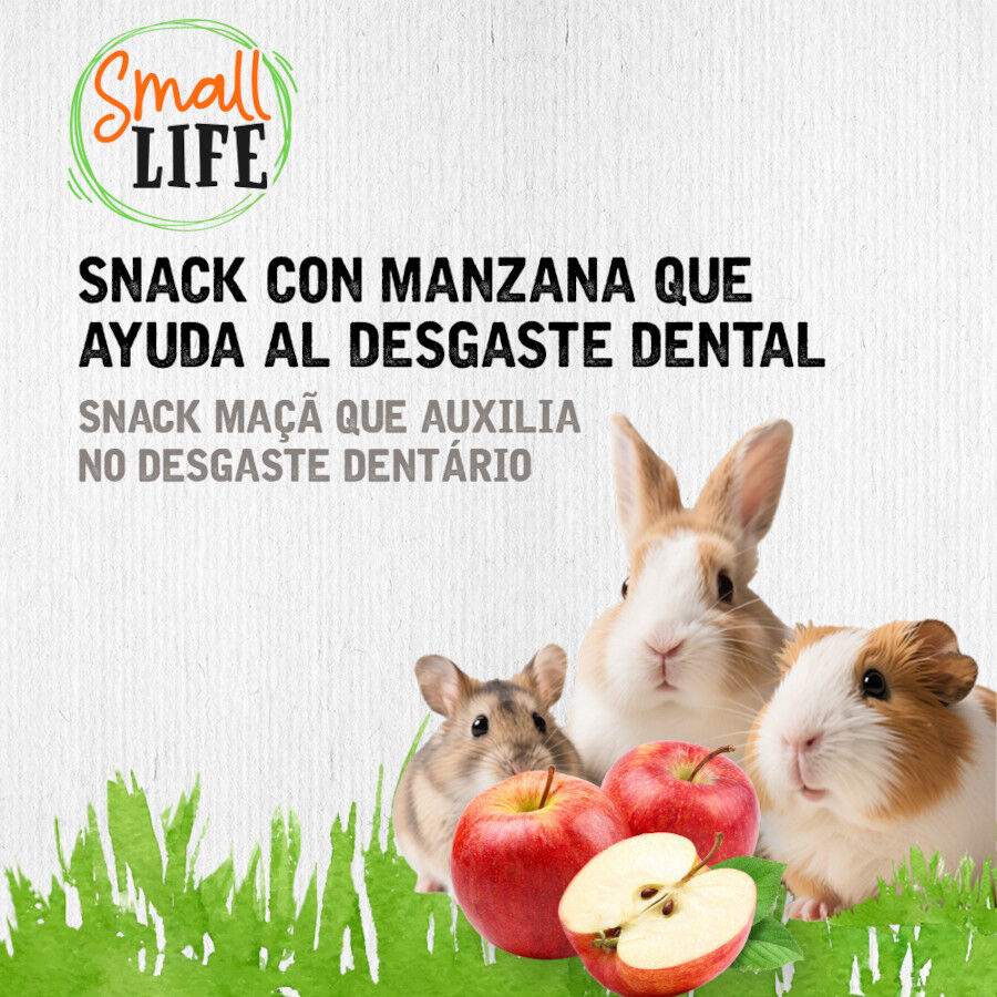 100 g Small Life Rolo de Feno com Ma&ccedil;&atilde; Snack para roedores e coelhos, , large Imagem n&uacute;mero 2