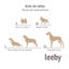 Leeby Almofada Acolchoada de Veludo Verde para cães, , large Indicador imagem número 6