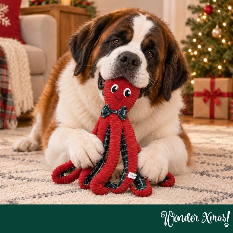 Wonder Christmas Polvo XL Peluche para c&atilde;es, , large Imagem n&uacute;mero 2