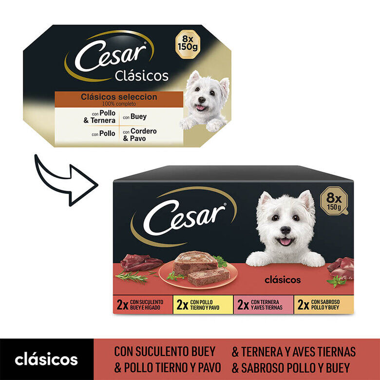 8 terrinas x 150 g Cesar Sele&ccedil;&atilde;o Cl&aacute;ssicos Terrina em Pat&ecirc; para C&atilde;es - Multipack, , large Imagem n&uacute;mero 2