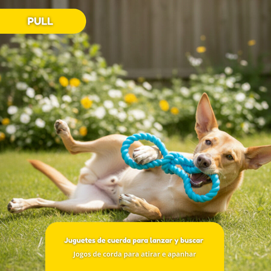 Tootoy! Pull N&oacute; de borracha de brinquedo para c&atilde;es, , large Imagem n&uacute;mero 6