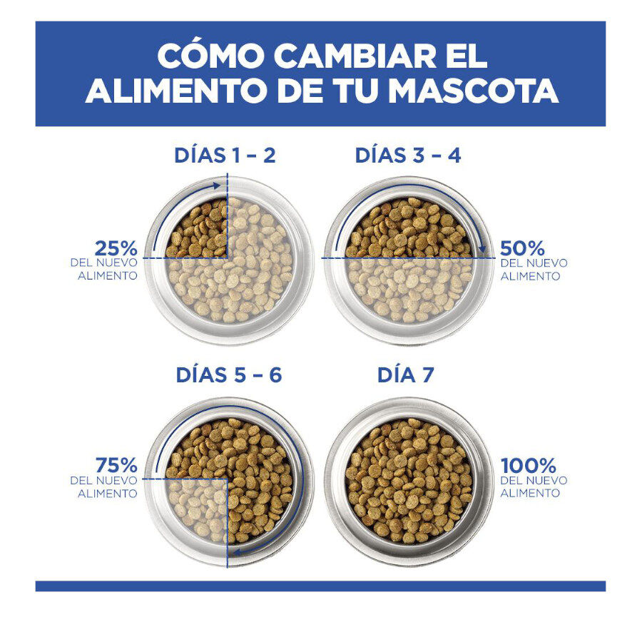 14 kg Hill's Science Plan Hipoalerg&eacute;nico Large Salm&atilde;o ra&ccedil;&atilde;o para c&atilde;es, , large Imagem n&uacute;mero 6