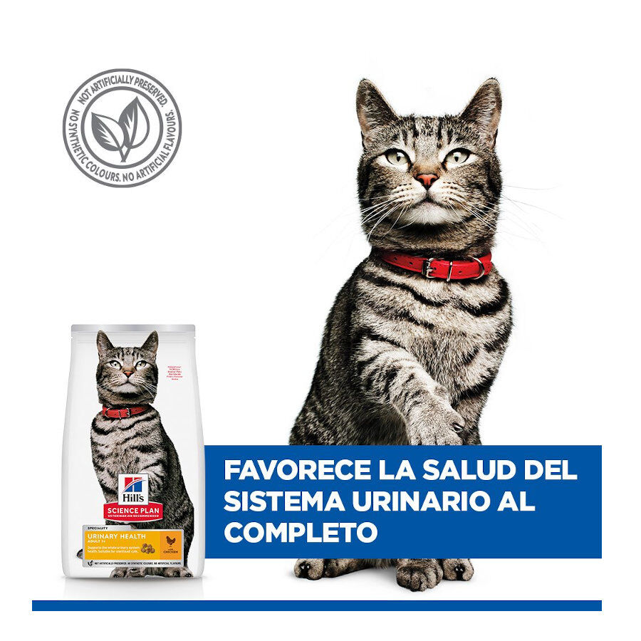 1.5 kg Hill's Urinary Frango ra&ccedil;&atilde;o para gatos , , large Imagem n&uacute;mero 6