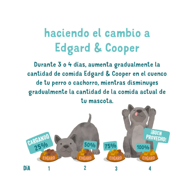 Edgard & Cooper Peru Terrinas comida húmida, , large image number null