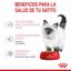 85 g Royal Canin Kitten Alimento Húmido para gatinhos, , large Indicador imagem número 3