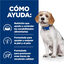 10 kg Hill's Prescription Diet z/d Low Fat Ração para cães, , large Indicador imagem número 4