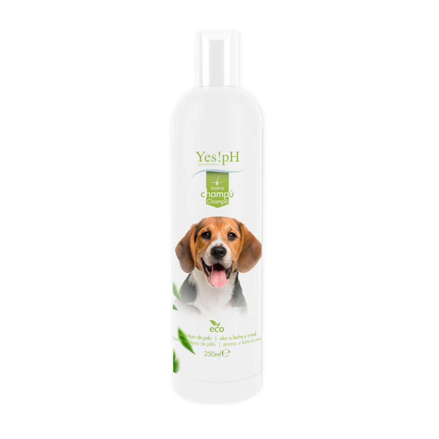 Yes! Shampoo pH Eco para c&atilde;es, , large Imagem n&uacute;mero 1