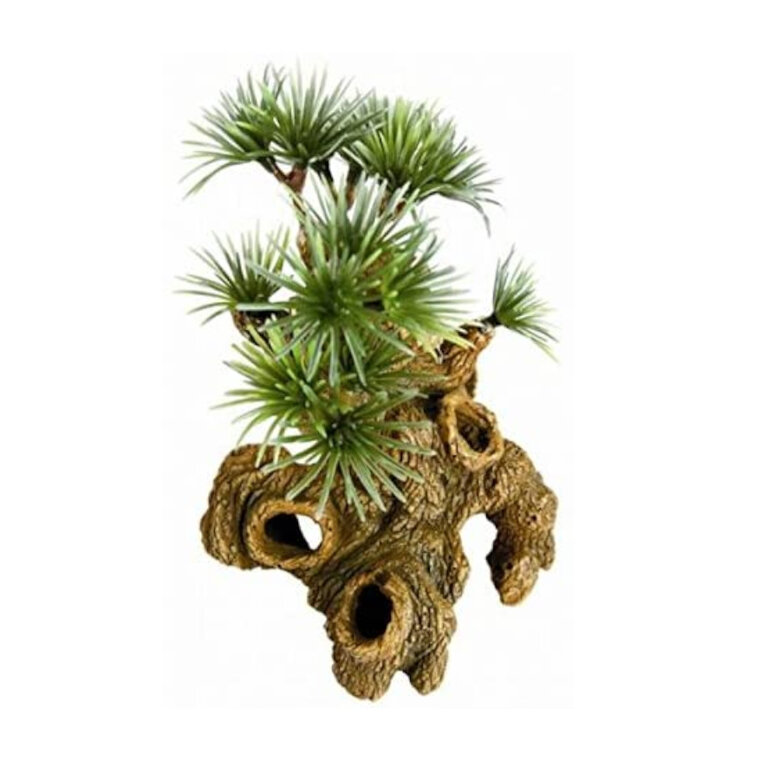 Zolux Nano Bonsai para decoração de aquários ,  Imagem número 1 Zolux Nano Bonsai para decoração de aquários , , large Imagem número 1