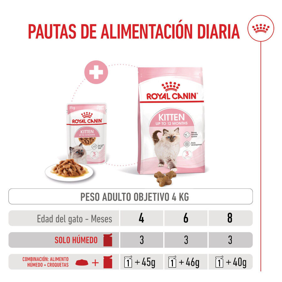 48 saquetas x 85 g Royal Canin Kitten Alimento H&uacute;mido para gatinhos Pack poupan&ccedil;a!, , large Imagem n&uacute;mero 7