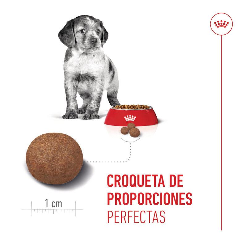 15 kg Royal Canin Puppy Medium ração para cães,  Imagem número 5 15 kg Royal Canin Puppy Medium ração para cães, , large Imagem número 5