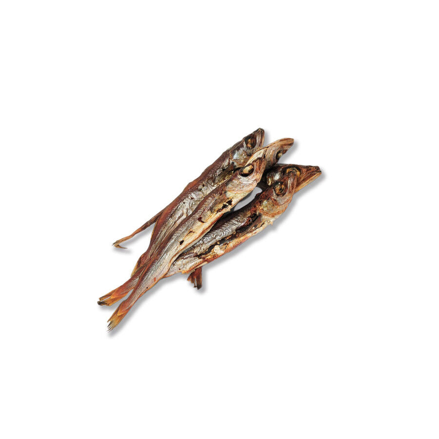 70 g. True Origins Lirio Snack para perros, , large Imagem n&uacute;mero 3