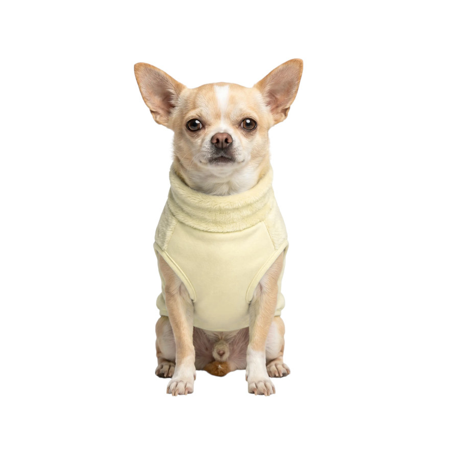 Gotoo Camisola Polar Amarela para c&atilde;es, , large Imagem n&uacute;mero 7