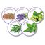 Beaphar Calming Collar Relajante para perros4 Indicador imagem número 4