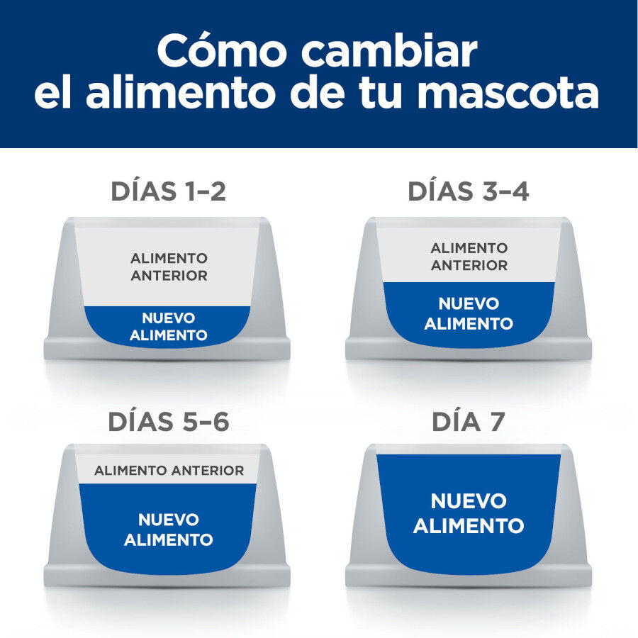 6 kg Hill's Prescription Diet j/d Metabolic + Mobility mini Adult ra&ccedil;&atilde;o para c&atilde;es, , large Imagem n&uacute;mero 12
