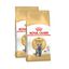 2 x 10 kg Royal Canin Adult British Shorthair ração para gatos Pack poupança!, , large Indicador imagem número 1