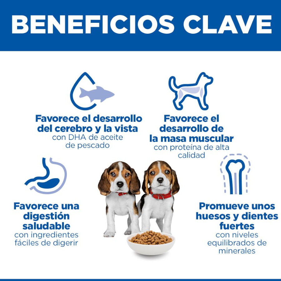 18 kg Hill's Science Plan Puppy Medium Frango ra&ccedil;&atilde;o para c&atilde;es, , large Imagem n&uacute;mero 5