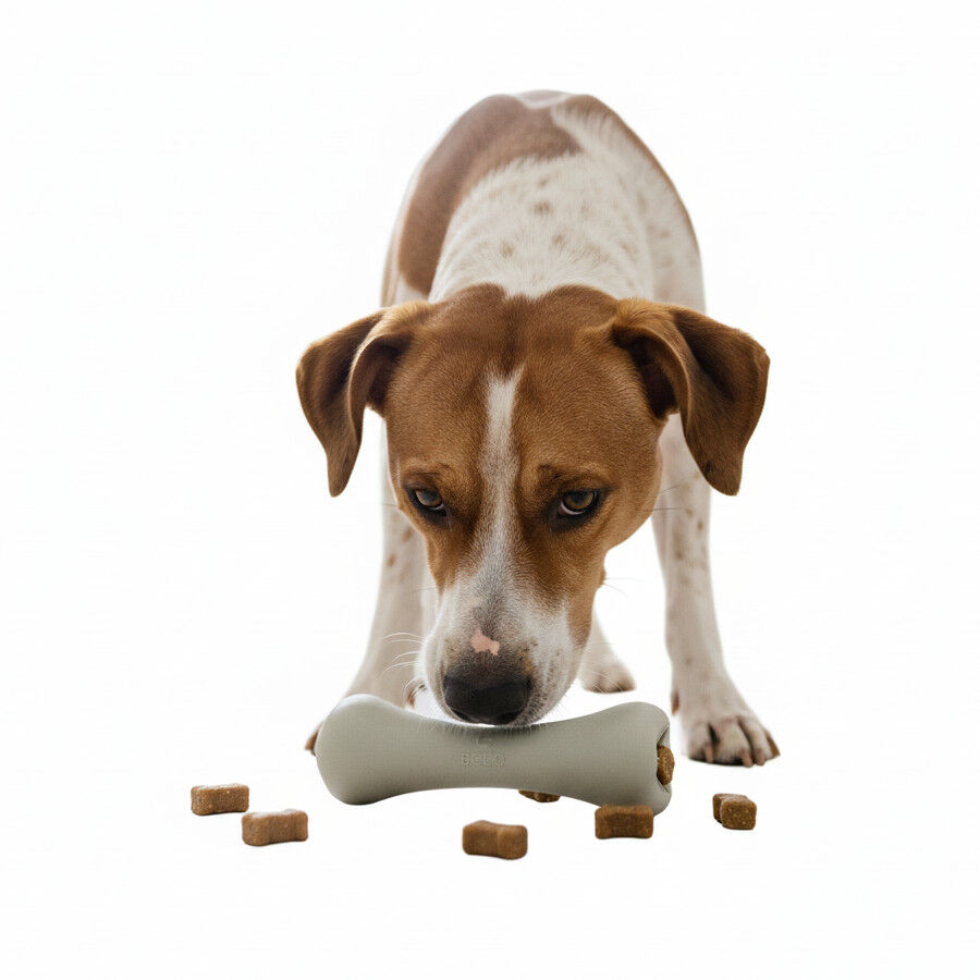 BECO Mordedor osso para c&atilde;es, , large Imagem n&uacute;mero 6