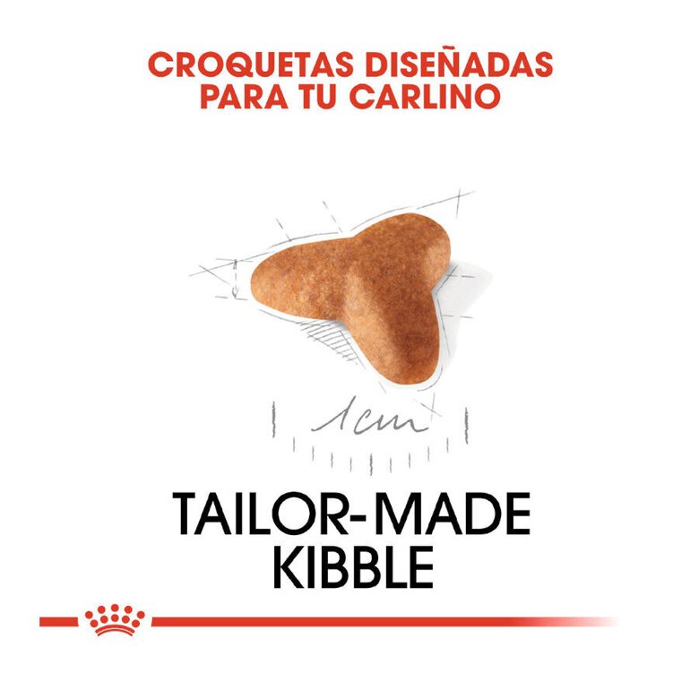 1.5 kg Royal Canin Puppy Pug ração para cães,  Imagem número 5 1.5 kg Royal Canin Puppy Pug ração para cães, , large Imagem número 5
