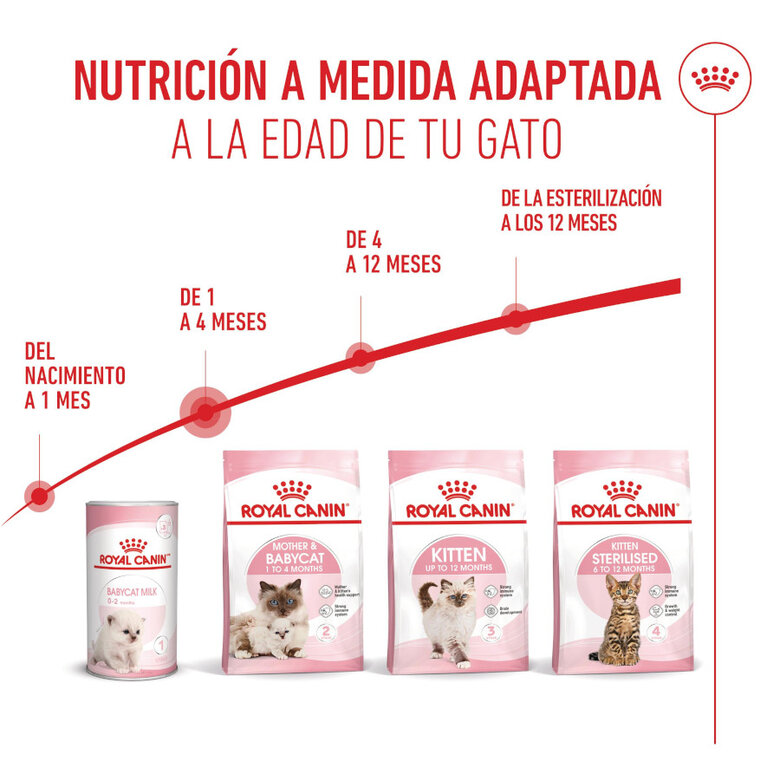 10 kg Royal Canin Mother & Baby ração para gatos,  Imagem número 7 10 kg Royal Canin Mother & Baby ração para gatos, , large Imagem número 7