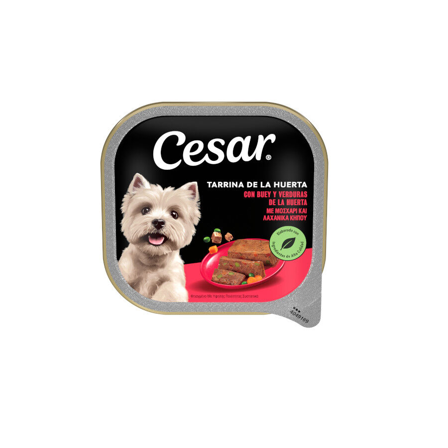 300 g Cesar Boi e Legumes Terrina em Geleia para C&atilde;es, , large Imagem n&uacute;mero 1