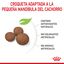 15 kg Royal Canin Puppy Medium ração para cães, , large Indicador imagem número 4
