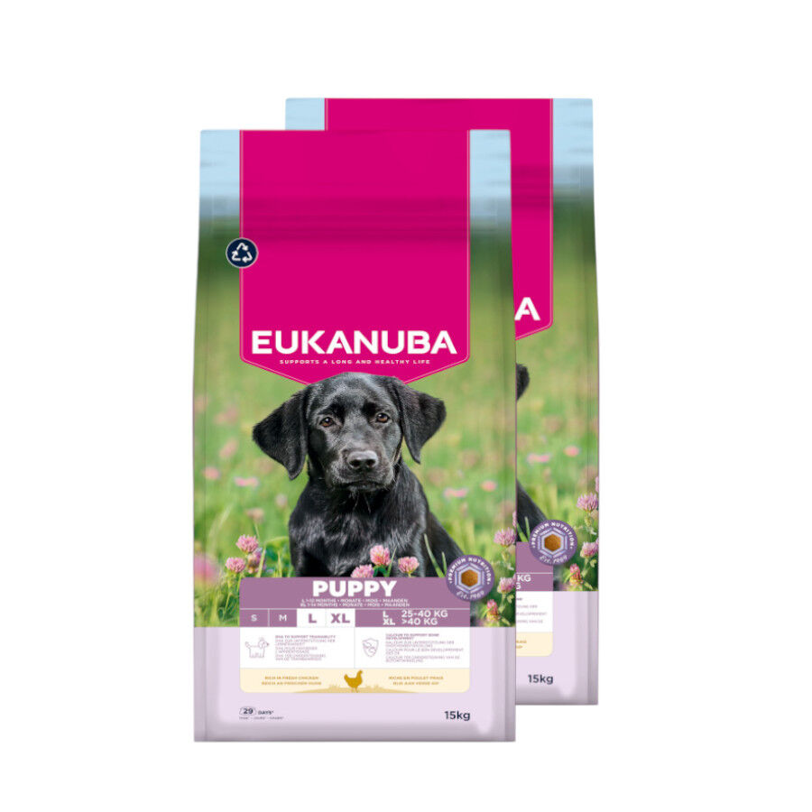 2 x 15 kg Eukanuba Puppy Large Breed Frango ra&ccedil;ao para c&atilde;es Pack poupan&ccedil;a!, , large Imagem n&uacute;mero 1