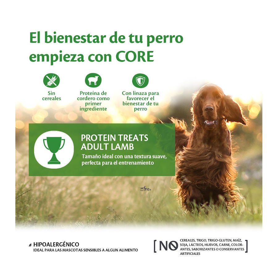 170 g Wellness Core Biscoitos Protein Treats Cordeiro para c&atilde;es, , large Imagem n&uacute;mero 3