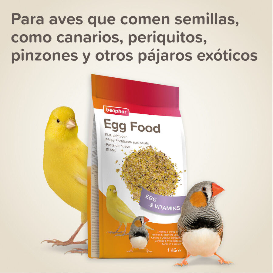 Beaphar Ei-Krachtvoer Pasta de Ovo para can&aacute;rios, , large Imagem n&uacute;mero 5