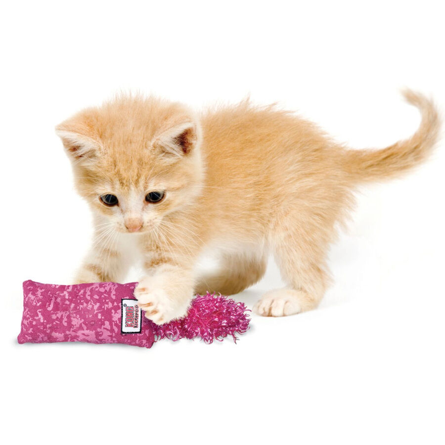 Kong Kickeroo Brinquedo com Penas para gatinhos , , large Imagem n&uacute;mero 2